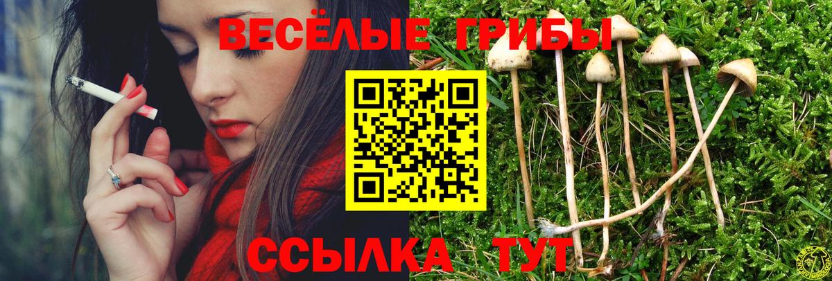 Псилоцибиновые грибы ЛСД Миасс